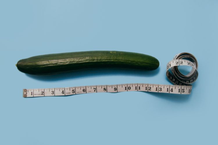 How To Measure Penis Length